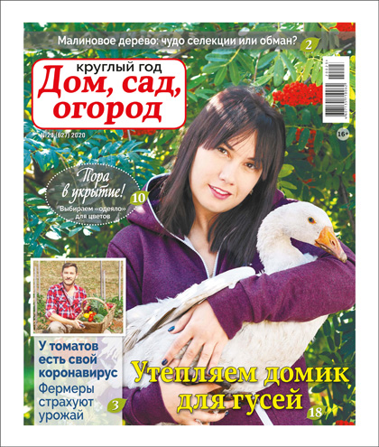Круглый год: дом, сад, огород, №23 (627)'2020