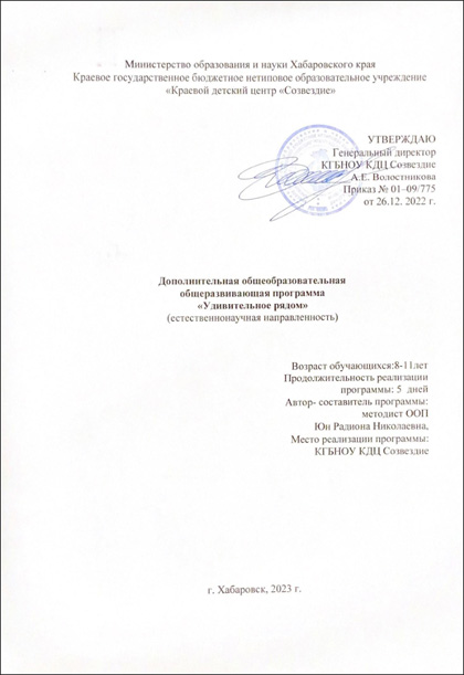 Краевой детский центр «Созвездие»