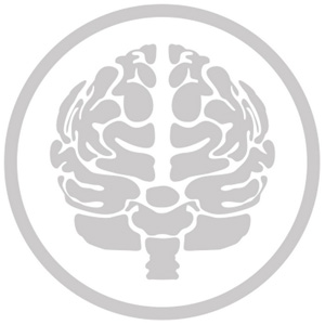 Проект Stay Safe, Stay Secure