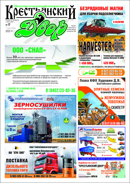 Крестьянский двор